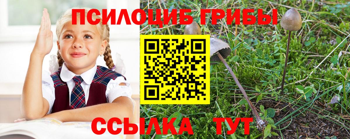 Ливны  Галлюциногенные грибы Cubensis  Вход с VPN  Галлюциногенные грибы мухоморы 